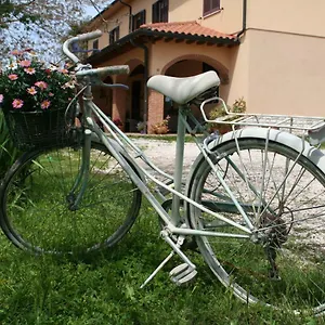 Diciocco , Venturina Terme Italien